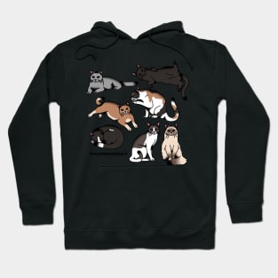 Kitty Pack Hoodie